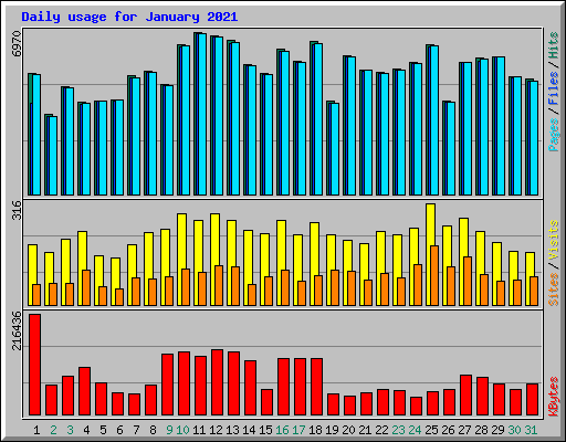 Daily usage for January 2021