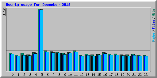 Hourly usage for December 2018