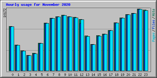 Hourly usage for November 2020