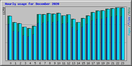 Hourly usage for December 2020