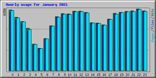 Hourly usage for January 2021