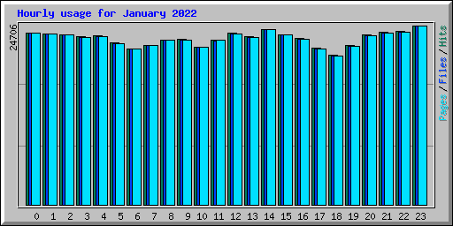 Hourly usage for January 2022